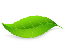 An ECOfriendly Company